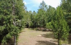 4717 NE 141ST Avenue, WILLISTON, FL 32696