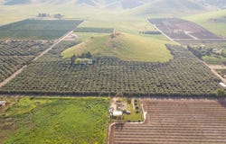 Avenue 234, Lindsay, CA 93247