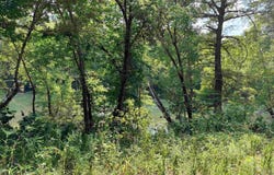 104 Adams Drive, Pangburn, AR 72121