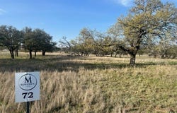 W Fallow Dr lot: 72, Harper, TX 78631