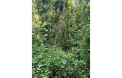 9999 Glade Branch, Manchester, KY 40962