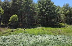 5 Goose River Estates, Swanville, ME 04915