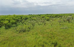Davis Ln-TRACT 9, Bellevue, TX 76228
