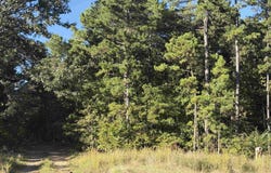 8393 Hwy 254 E, Dennard, AR 72629