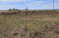 County Road 129, Hesperus, CO 81326