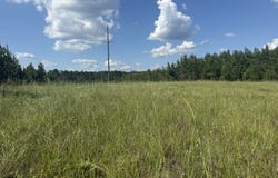 009 George Milling Road, Cuthbert, GA 39840