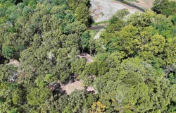 Pole Thicket Road Lot#WP00, Norman, AR 71960