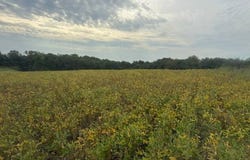 County Road 201, Kahoka, MO 63445