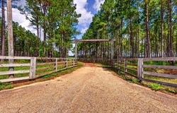 552 Yawn School, Lumberton, MS 39455