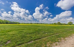 300 County Road 3636, Dike, TX 75437