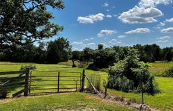 33 County Road 55, Belleview, MO 63623
