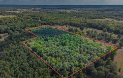 CR 4153, Pittsburg, TX 75686