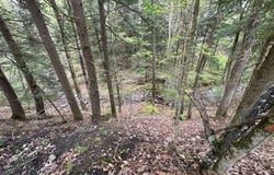116 Oregon Rd, Butternuts, NY 13776