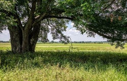 000 Egypt Lane, Washington, TX 77880