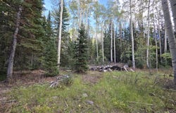 214 E DEER TRAIL Rd, Brian Head, UT 84719