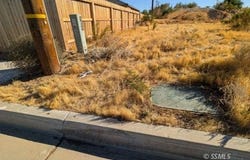 Dolphin, Ridgecrest, CA 93555