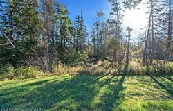 9191 M 33, Avery Twp, MI 49709