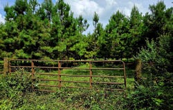 PID 10531 County Road 4816, TIMPSON, TX 75975