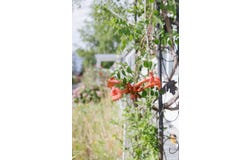 1502 Agape Way, Grants Pass, OR 97527