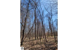 VL Cliffmont Drive, Mancelona, MI 49659