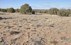 691 CR 5270, Concho, AZ 85924