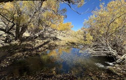 State Route 34, Gerlach, NV 89412