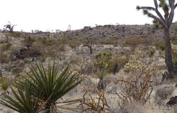 319-07-011B W 20th Street, Dolan Springs, AZ 86441