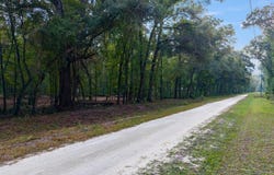 639 NE 298th Ave, Old Town, FL 32680