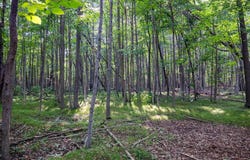 Memorial Dr lot: 2, Egg Harbor, WI 54209