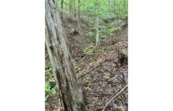 Mt. Scratchum Road, Irvine, KY 40336