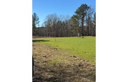 CR 6650, BRUNDIDGE, AL 36010
