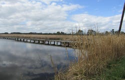Whichards Beach Road, Chocowinity, NC 27817