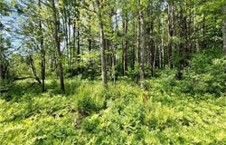 Maples Road, Hartwick, NY 13348