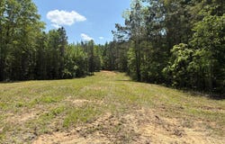 5291 CR-51, Greensboro, AL 36744