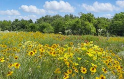 1613 County Road 440, De Leon, TX 76444