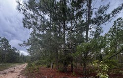 7176 RUTGERS Street, Keystone Heights, FL 32656
