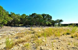 PR 1708 lot: 8, Mico, TX 78056