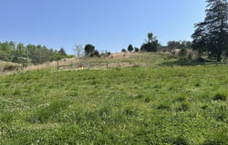 Trent Valley Rd, Sneedville, TN 37869