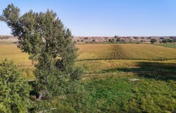 16 Boehm Lane, Hysham, MT 59038