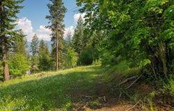 661 Midas Dr, Sagle, ID 83860