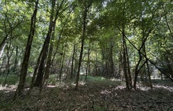 Church Road, Goodman, MS 39079