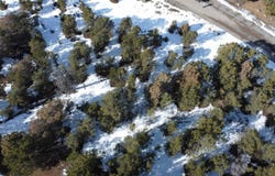 30 Pinon Road W, Ridgway, CO 81432