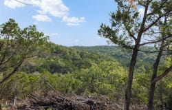 Tract 4 Mount Olive School Rd, Wimberley, TX 78676