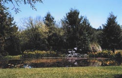 4001 Branscomb RD, Laytonville, CA 95454