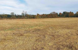 Davis Lane lot: 1, Mullins, SC 29574
