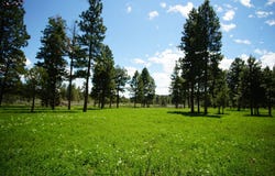 123 Bare Land, Unity, OR 97884