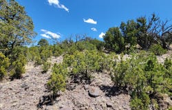 SUNSET Drive, Eagar, AZ 85925