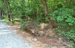 1278 Carolina Street, Graham, NC 27253
