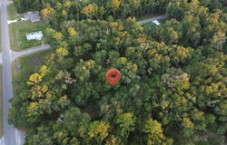 SEQUOIA LOOP Track, OCKLAWAHA, FL 32179