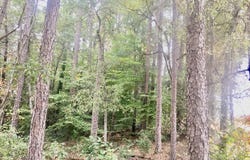 HWY 17 ALT, Toccoa, GA 30577